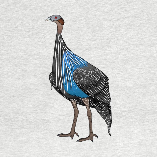 Vulturine guineafowl bird cartoon illustration by Cartoons of fun